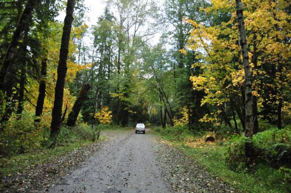 Dirigindo nas belas estradas rurais ao norte do Mt. St. Helens, no estado de Washington, oeste dos Estados Unidos